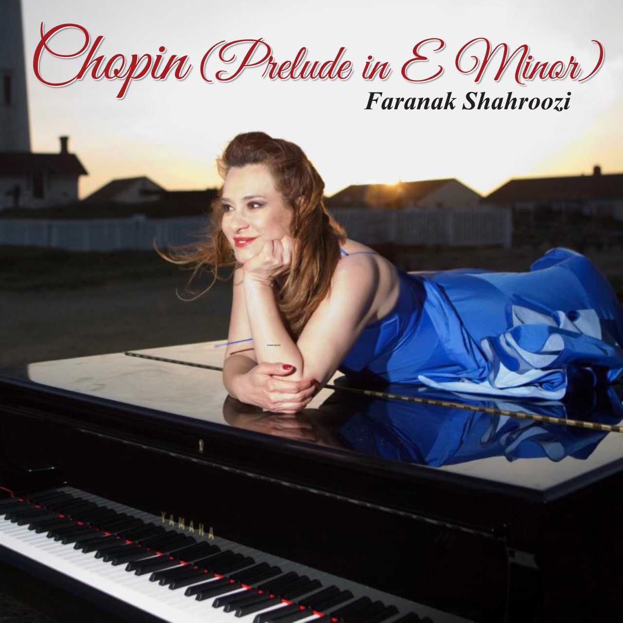 Chopin (Prelude in E Minor)